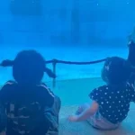 名古屋港水族館